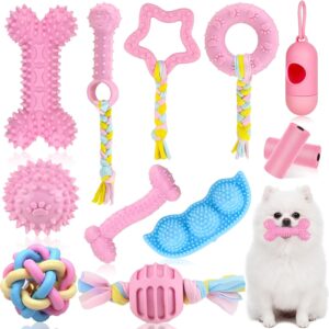 12pcs Puppy Chew Toy Set, Puppy Teething Toys with Ball Cotton Ropes, Durable Dog Chew Toys for Small Puppy Breeds Teething Toys for Puppies Non-Toxic Safe Perfect for Training, Interactive Pet Toys
