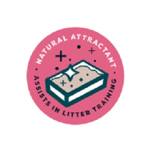 Kitten