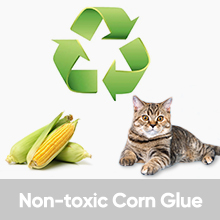 Protect your cats and families health