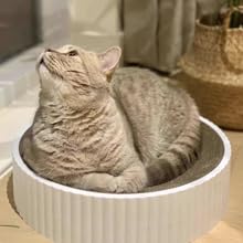 Cat scratcher cardboard scratch post cat toys kitten