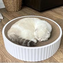 cat kitten sleeping cat scratcher post cardboard 