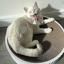 cat scratcher post scratching cardboard lounger bed