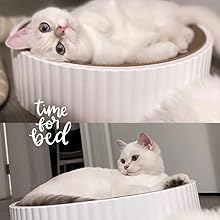 cat kitten sleeping cat scratcher post cardboard 
