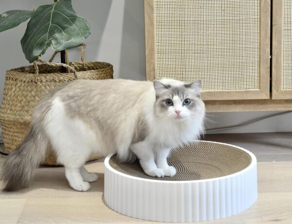 Premium 2-in-1 Cat Scratching Bed, Cat Scratching Cardboard, Scratch Pad, Cat Lounger, Pet Bed Sofa, Cardboard Replaceable, Double-Sided Design for Double Life, Large size: 40cm x 40cm x 10cm (White)