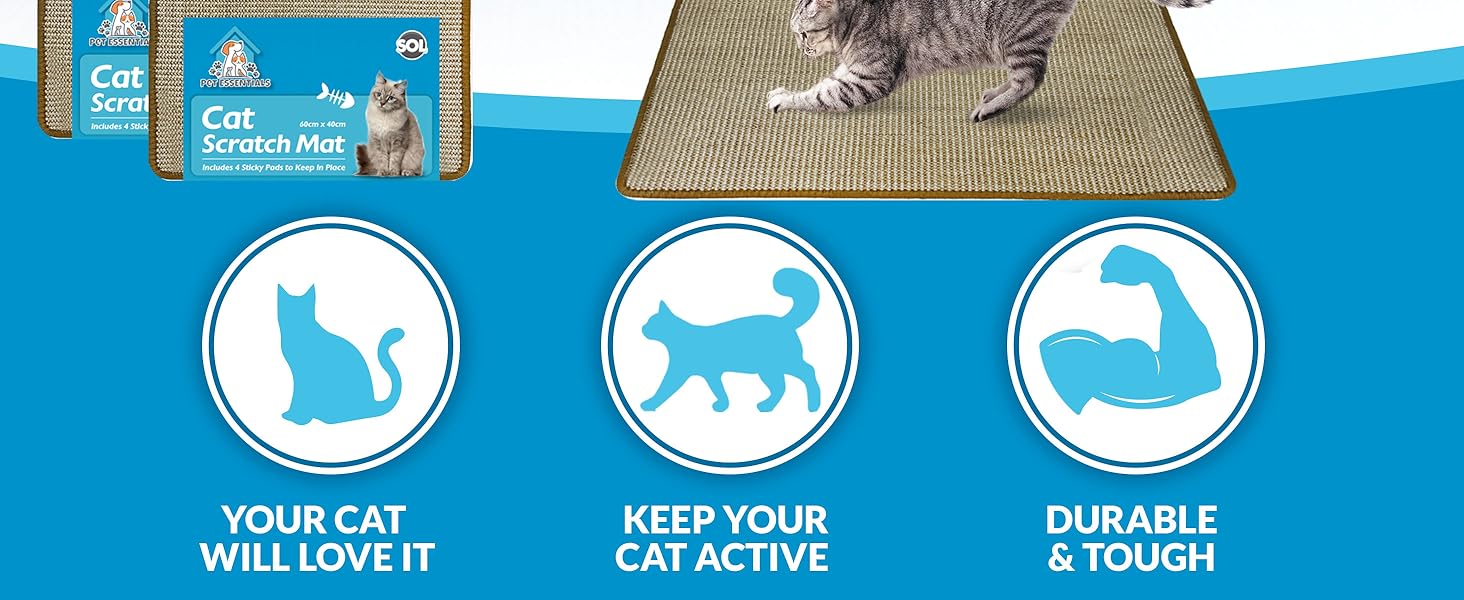 fusion box pad sisal bed petfusion anti catnip post board cardboard scratchers scratching