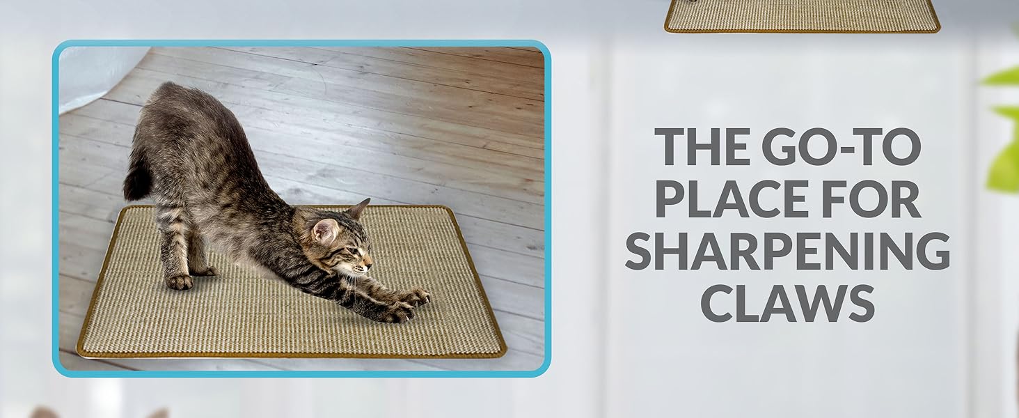 fusion box pad sisal bed petfusion anti catnip post board cardboard scratchers scratching