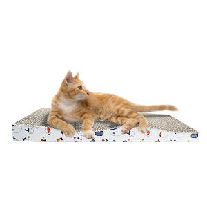 Cat Scratcher