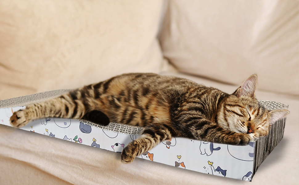 Cat Scratcher Cardboard