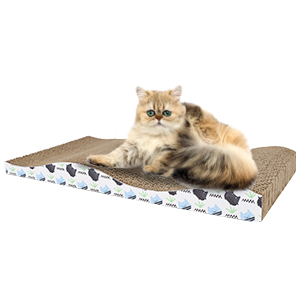 Cat Scratcher