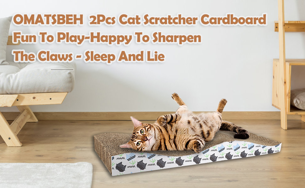 2 Pack Cat Scratcher Pad