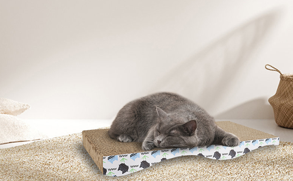 Cat Scratcher