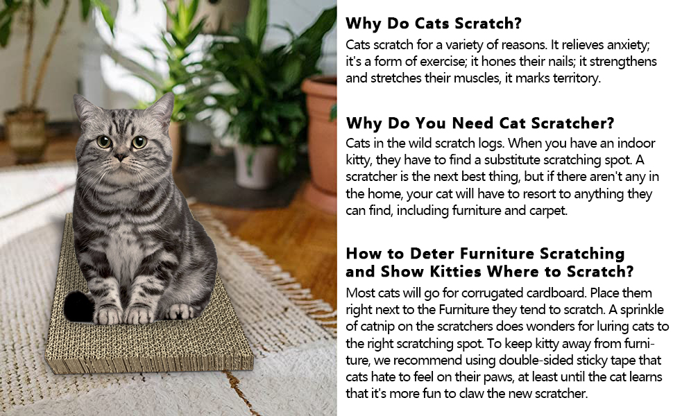 Papercat Cat Scratcher-2
