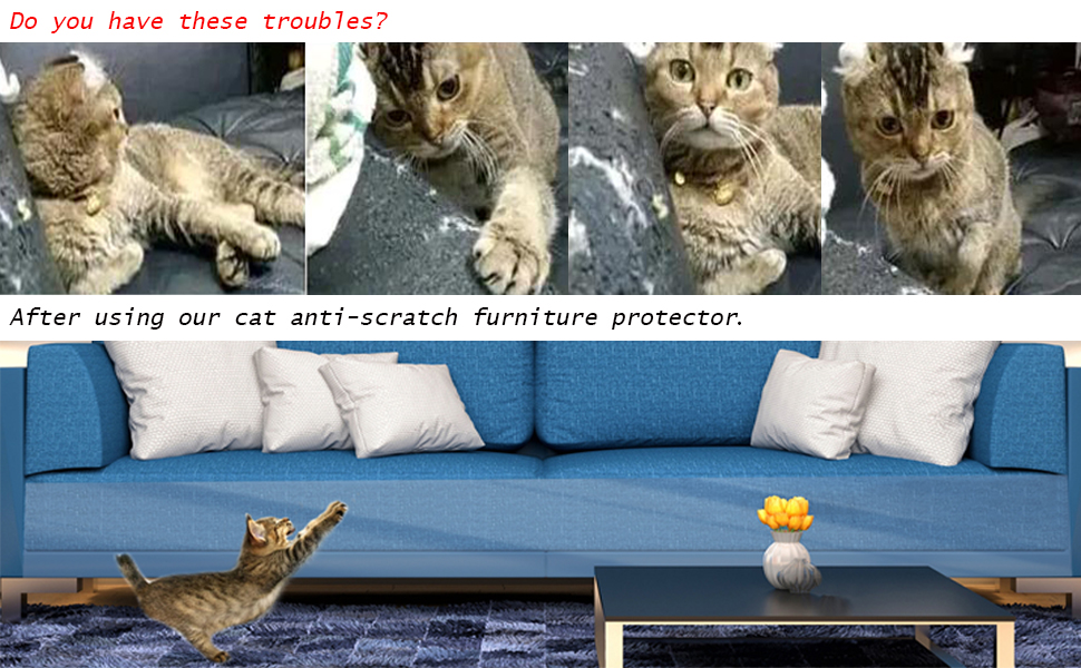 Protect your sofa from cat scratching.