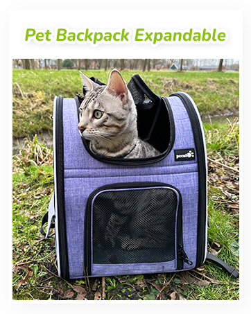 cat carrier