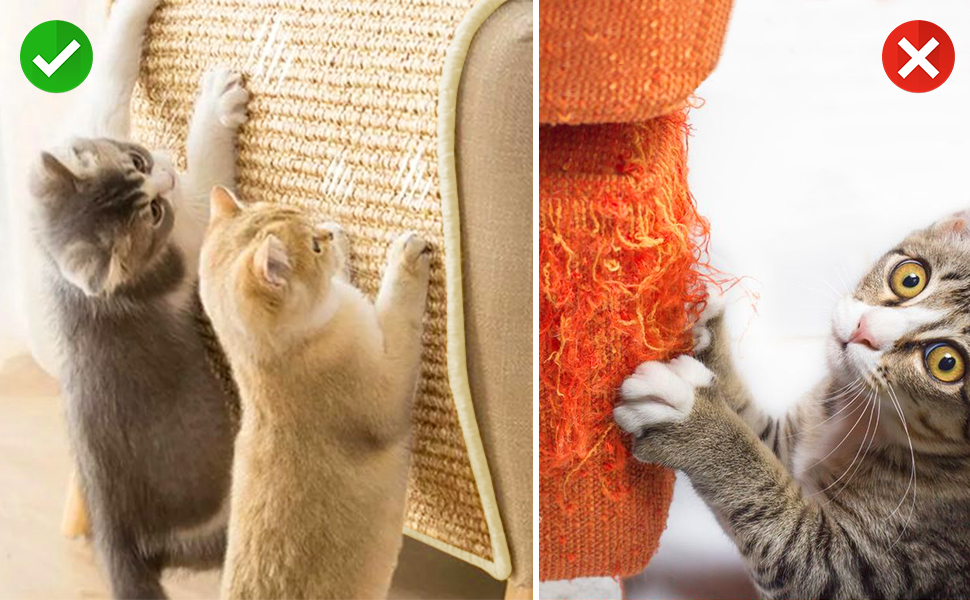 cat scratch mat