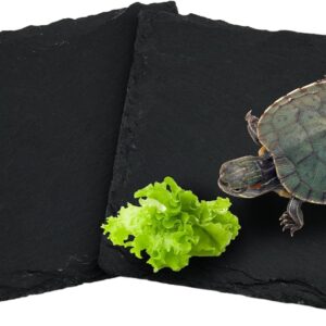 2pcs Tortoise Slate Reptile Basking Platform, 10x10cm Natural Square Slate Reptile Habitat Rock, Turtle Feeding Food Bowl Dish for Turtle Lizard Bearded Dragon Gecko Snake Landscape Habitat Decor