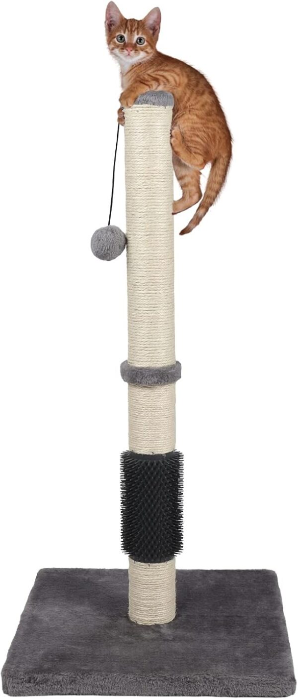 ANWA Tall Cat Scratching Posts for Indoor Cats and Kittens, Premium Sisal Post with Dangling Plush Ball Self-Grooming Brush, Reinforced Base grey 15.7'' x 32'' Grey