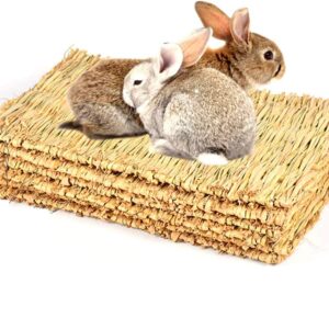 CAMITER Pack of 5 Small Animal Grass Mats, Animal Chew Toy, Rabbit Bed, Natural Handwoven Grass Mat, Safe and Edible for Hamsters, Rabbits, Parrots, Guinea Pigs and Ferrets