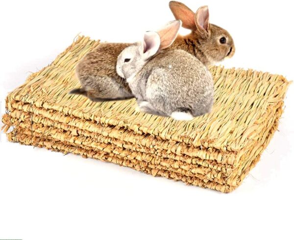 CAMITER Pack of 5 Small Animal Grass Mats, Animal Chew Toy, Rabbit Bed, Natural Handwoven Grass Mat, Safe and Edible for Hamsters, Rabbits, Parrots, Guinea Pigs and Ferrets