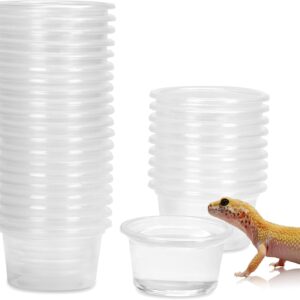 DERNORD Gecko Feeding Ledge Plastic Bowl - 5x3CM 30PCS Reptile Water Dish Suction Bowl Bearded Dragon Leopard Crested Gecko Accessories for Vivarium