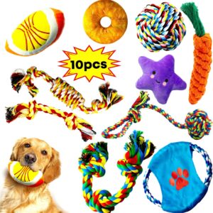 Decyam Dog Toys 10 Pcs Puppy Toys: Dog Chew Toy for Small Dogs Dog Rope Toy Puppy Tug of War Toy Dog Toys from 8 Weeks