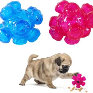 EASY JOY Interactive 2 Pcs Dog Toy Balls Durable Food Dispenser, Help Slow Eating for Small or Medium Dogs, Treat Balls Reward Balls Dog Football, Blue & Purple 10x10x9cm