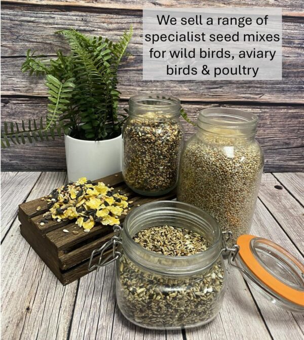 *NEW* 1.5kg PLAIN CANARY SEED MIXED CAGE BIRD FOOD XLDS