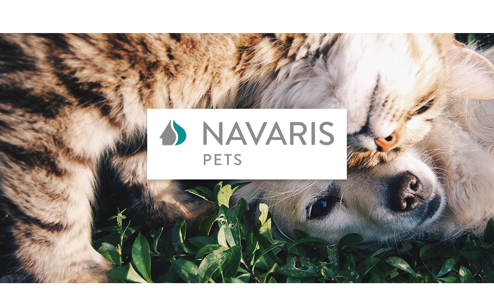 pets