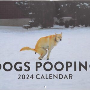Pet Poop Calendar 2024 Pooping Dogs Calendar Wall Calendar Gag Crapping Calendar For Dog Health Trackers