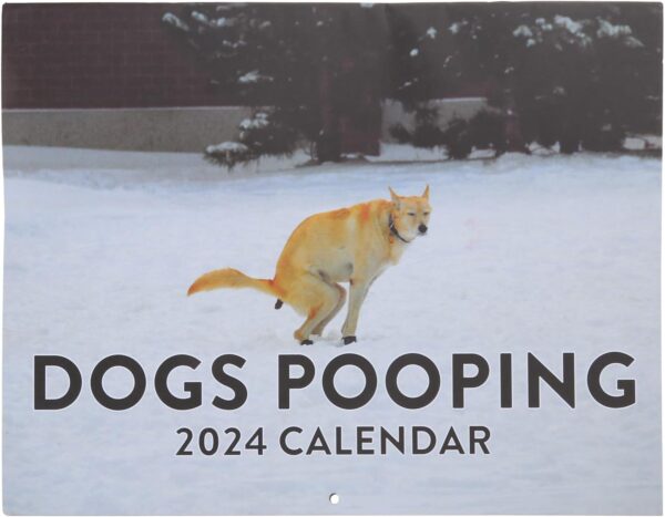 Pet Poop Calendar 2024 Pooping Dogs Calendar Wall Calendar Gag Crapping Calendar For Dog Health Trackers