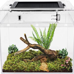 Reptile Growth Mini reptile tank（PC）,8" x 8"x 8" vivarium with Top Sliding Door Screen Ventilation for Small Fish,Insect,Snail,Gecko，Tarantula,Bearded Dragon,Jumping Spider,Stick Insect