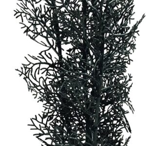 biOrb Horn Coral M Black