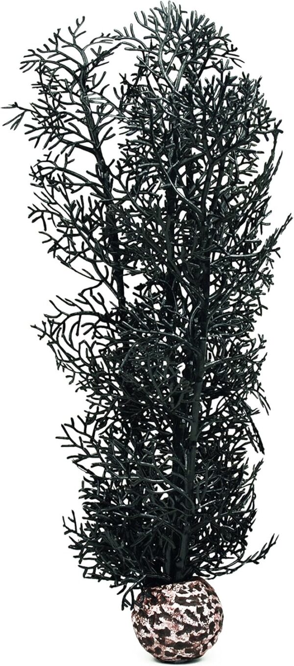biOrb Horn Coral M Black