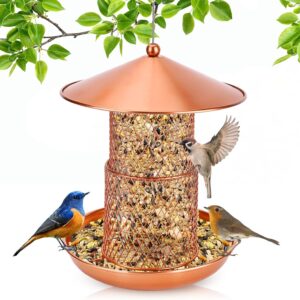 Bird Feeders, Hanging Metal Bird Seed Feeder Heavy Duty Mesh Squirrel Proof Wild Bird Feeder Staton Anti-rust Coating Nut Feeder with Rain Dome for Mix Seed Blends Sunflower