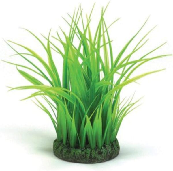 biOrb Grass Ring S green