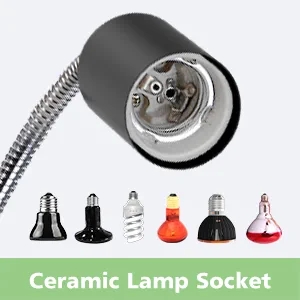 Reptile Heat Lamp
