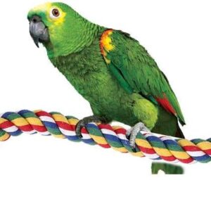 Bird Rope Perches, Bird Spiral Rope Perch, Cotton Parrot Swing Climbing Standing Toys Parrot Cage Toys(M)