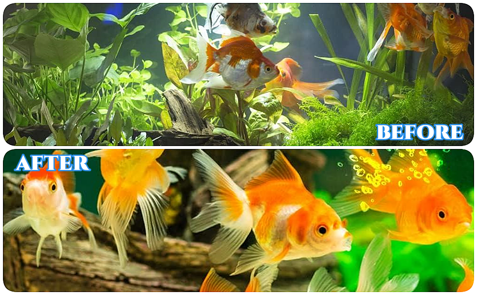 Fish Tank Filter 