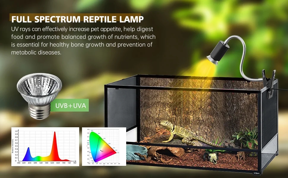 Reptile Heat Lamp
